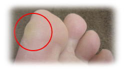 ���̖ڎ���